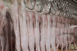 TP.HCM: Không có việc tràn lan thịt heo bẩn trên thị trường hiện nay