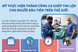 Thực hiện thành công ca ghép tim lợn cho người đầu tiên trên thế giới