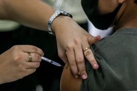 Đại sứ Đặng Hoàng Giang phát biểu. (Ảnh: Khắc Hiếu/TTXVN)