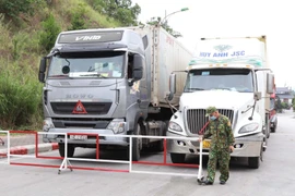 Lạng Sơn thúc đẩy thông quan qua thiết lập 'vùng xanh' tại cửa khẩu