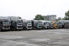 ​Triển khai chức năng cảnh báo chống ùn tắc phương tiện tại cửa khẩu