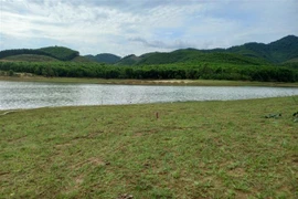 (Ảnh minh họa: TTXVN phát)