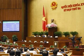 Quốc hội biểu quyết thông qua Nghị quyết về chủ trương đầu tư Dự án đầu tư xây dựng đường bộ cao tốc Biên Hòa-Vũng Tàu giai đoạn 1. (Ảnh: Doãn Tấn/TTXVN)