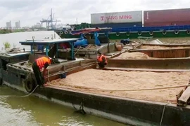(Ảnh minh họa: TTXVN phát)