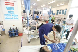 (Ảnh minh họa: Minh Quyết/TTXVN)