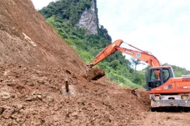 (Ảnh minh họa: TTXVN phát)