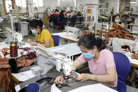 May hàng xuất khẩu sang thị trường Mỹ tại Công ty May Maxport, Hạ Đình, Thanh Xuân, Hà Nội. (Ảnh: Trần Việt/TTXVN)