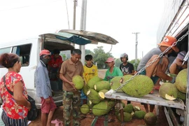 Hoạt động giao thương giữa người dân 2 nước tại xã Khánh Hưng, khu vực gần cửa khẩu phụ Hữu Nghị 1, đồn Bến Phố, huyện Vĩnh Hưng, Long An. (Ảnh: TTXVN phát)