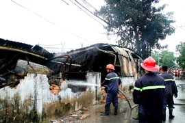 (Ảnh minh họa: Dương Chí Tưởng/TTXVN)