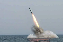 Ảnh minh họa. (Nguồn: EPA/TTXVN)