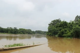 (Ảnh minh họa: Hoàng Nguyên/TTXVN)