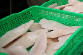 (Ảnh minh họa: Vũ Sinh/TTXVN)