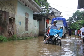 (Ảnh minh họa: Tuấn Anh/TTXVN)