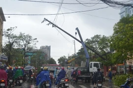 Cột điện trước cổng trường Đại học Y dược Thái Bình bị đổ gục. (Ảnh: Thu Hoài/TTXVN)