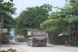 (Ảnh minh họa: Mạnh Minh/TTXVN)