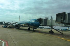 Máy bay của Vietnam Airlines đưa công dân Việt Nam về nước. (Ảnh: Việt Hùng/Vietnam+)