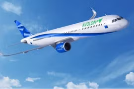 (Nguồn: Avolon)