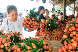 Sản phẩm vải thiều được công nhận OCOP giới thiệu tại siêu thị. (Ảnh: Phương Anh/TTXVN)