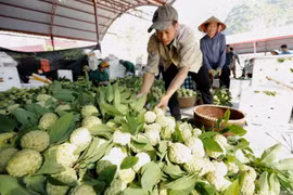 Lạng Sơn chủ động quảng bá cho sản phẩm đặc sản na 'Chi Lăng'