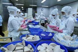 Dây chuyền chế biến cá ngừ đại dương đông lạnh xuất khẩu của Công ty Cổ phần Thủy sản Bình Định đảm bảo các tiêu chuẩn bắt buộc của EU. (Ảnh: Vũ Sinh/TTXVN)