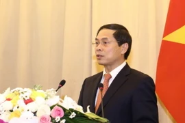 Thứ trưởng Thường trực Bộ Ngoại giao Bùi Thanh Sơn. (Ảnh: Văn Điệp/TTXVN)