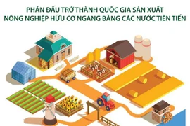 [Infographics] Phát triển nền nông nghiệp hữu cơ bền vững