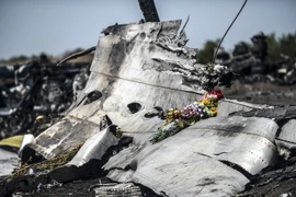 Xác máy bay MH17 của Hãng hàng không Malaysia Airlines bị bắn rơi gần làng Grabove, cách Donetsk, miền Đông Ukraine khoảng 80km, tháng 9/2014. (Ảnh: AFP/TTXVN)