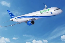 (Nguồn: Avolon)