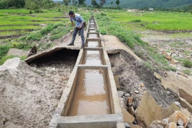 Dù chưa nghiệm thu, công trình thủy lợi Pleikeo đã xuống cấp, hư hỏng. (Ảnh: TTXVN phát)