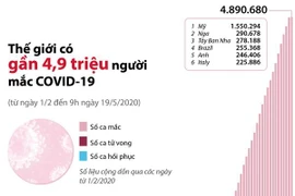 [Infographics] Thế giới có gần 4,9 triệu người mắc COVID-19