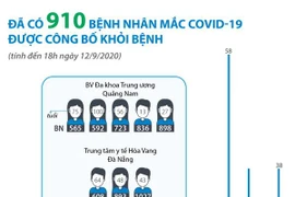 [Infographics] Đã có 910 bệnh nhân mắc COVID-19 được công bố khỏi bệnh