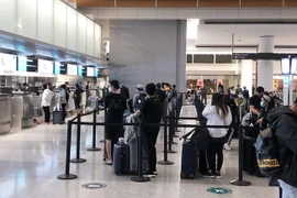Công dân Việt Nam xếp hàng chờ làm thủ tục check-in để lên máy bay về nước. (Ảnh: TTXVN phát)