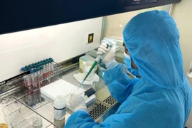 Cán bộ Trung tâm Kiểm soát bệnh tật tỉnh Quảng Ninh làm mẫu xét nghiệm bằng phương pháp PCR. (Ảnh: TTXVN phát)