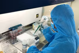 Cán bộ Trung tâm Kiểm soát bệnh tật tỉnh Quảng Ninh làm mẫu xét nghiệm bằng phương pháp PCR. (Ảnh: TTXVN phát)