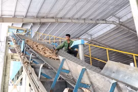 Công nhân sản xuất tại nhà máy tinh bột sắn. (Ảnh: Hoài Nam/TTXVN)