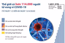 [Infographics] Thế giới có hơn 114.000 người tử vong vì COVID-19