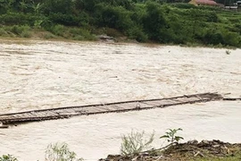 (Ảnh minh họa: TTXVN phát)