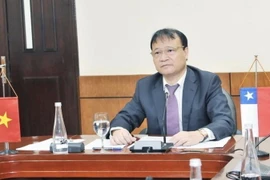 Thứ trưởng Bộ Công Thương Đỗ Thắng Hải tại đầu cầu Hà Nội. (Ảnh: Trần Việt/TTXVN 