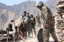 (Ảnh minh họa: THX/TTXVN)