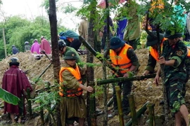 Các lực lượng bộ đội, công an, dân quân tự vệ tham gia gia cố đê. (Ảnh: Bích Huệ/ TTXVN)