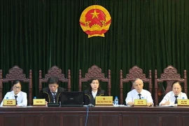 (Ảnh: Nguyễn Dũng/Vietnam+)