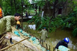 Các lực lượng bộ đội, công an, dân quân tự vệ tham gia gia cố đê sông Vinh. (Ảnh: Bích Huệ/TTXVN)