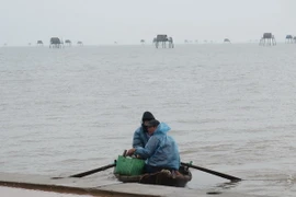 Người trông coi ngao trở vào đất liền sau một đêm ở lại chòi canh ngao. (Ảnh: Xuân Tiến/TTXVN)