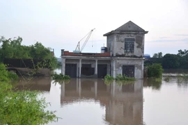 Hơn 100 hộ dân tại xã Yên Bằng, huyện Ý Yên, Nam Định bị ngập trong nước. Ảnh: Công Luật-TTXVN