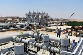 Ảnh minh họa. (Nguồn: THX/TTXVN)