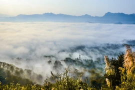 Những buổi sáng sớm, từ trên đỉnh đèo, du khách có thể chiêm ngưỡng biển mây bao trùm thung lũng Mường Ảng bên những dãy núi tạo nên khung cảnh rất thơ mộng. (Ảnh: Xuân Tư/TTXVN)