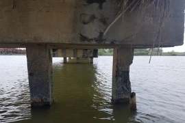 (Ảnh: Đoàn Hữu Trung/TTXVN)