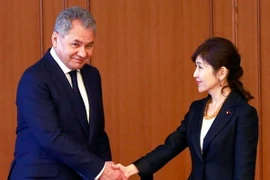 Ảnh minh họa. (Nguồn: KVHP)