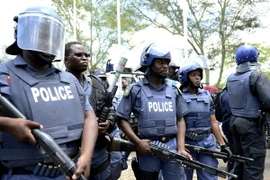 Ảnh minh họa. (Nguồn: AFP/TTXVN)