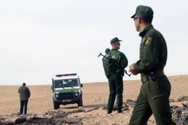 Ảnh minh họa. (Nguồn: AFP/TTXVN)